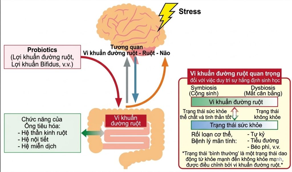 trục ruột não